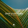 new.currency® Episode 002 artwork with warm toned visual branding against a palm leaf background.