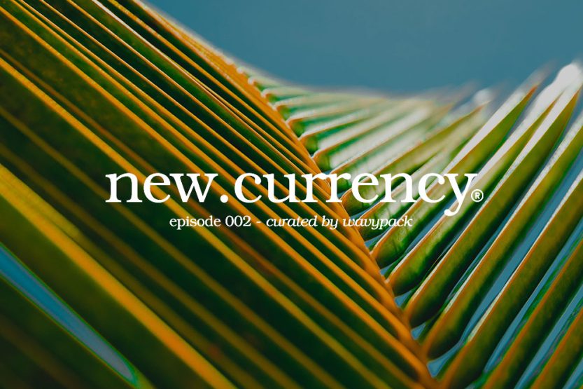 new.currency® Episode 002 artwork with warm toned visual branding against a palm leaf background.