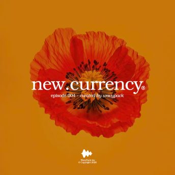 new.currency® Episode 004 artwork representing the weekly music show curated by New York City music enthusiasts hosted on Wavypack.