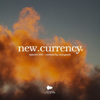 new.currency Episode 005 Wavypack
